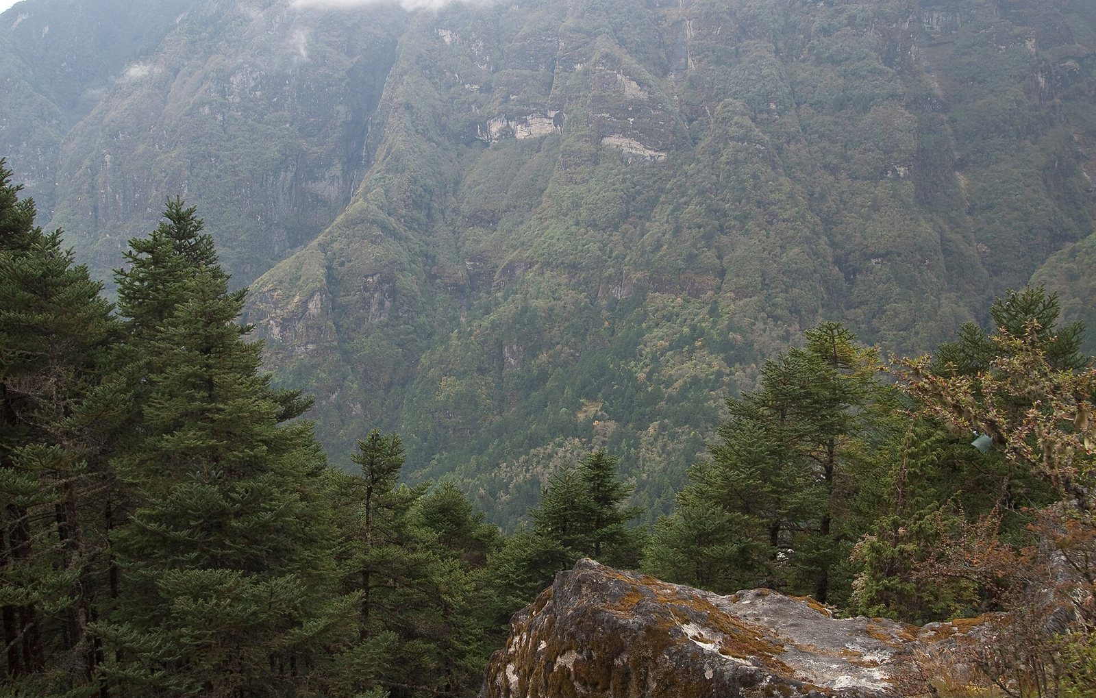 A wide view of the forested Bhote Koshi river valley in Nepal, with steep mountain slopes rising on either side.