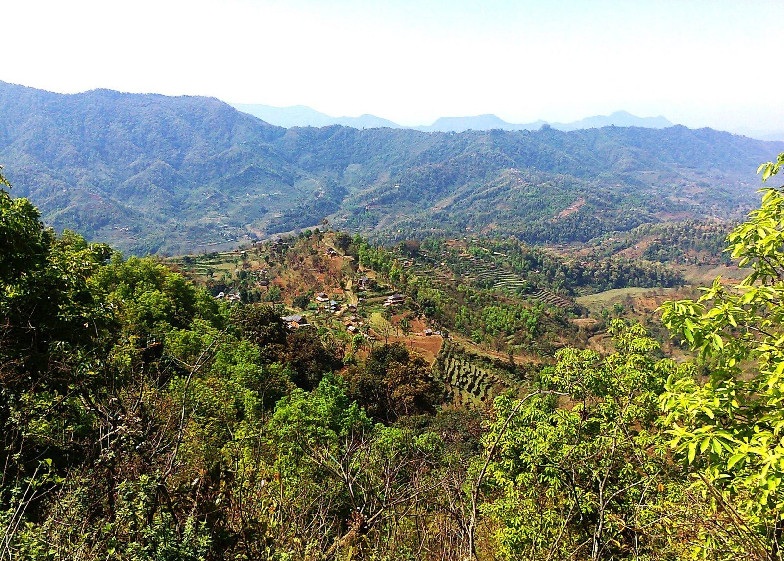 A hillside view of terraced farmland and forested ridges in Gorkha District, Nepal.
