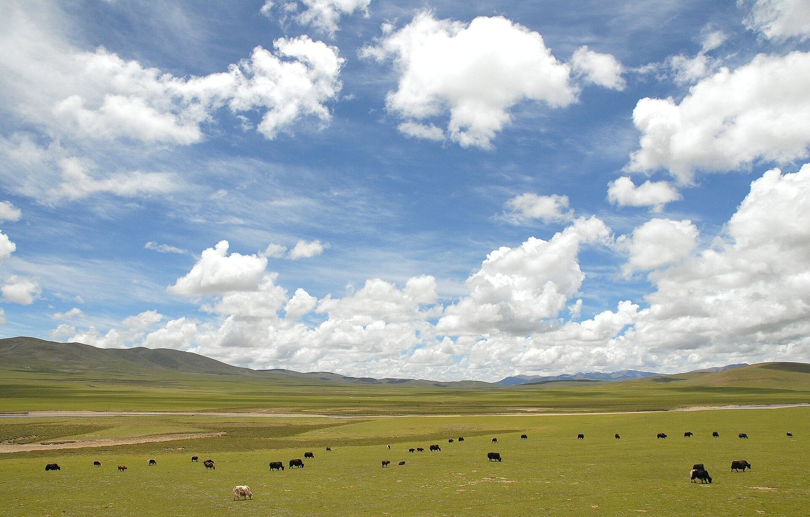 A wide view of the green, high-altitude grassland and distant mountains of Nagqu County on the Tibetan plateau.