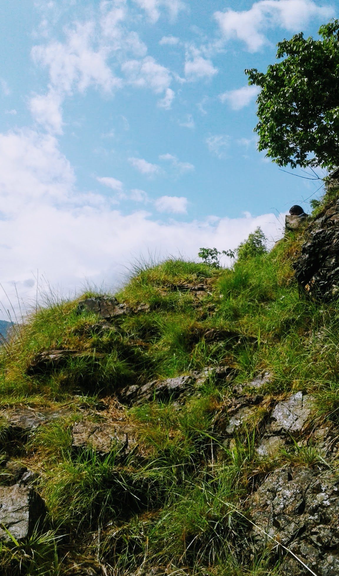 A file photo of a hillside resting place amid grassy terrain in Gulmi district, Nepal.